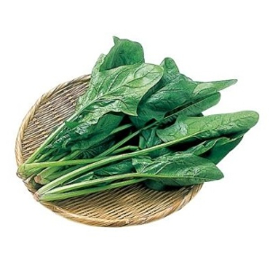ほうれん草（１袋） 岐阜県産他