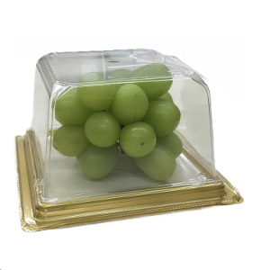 シャインマスカット（５５０ｇ)