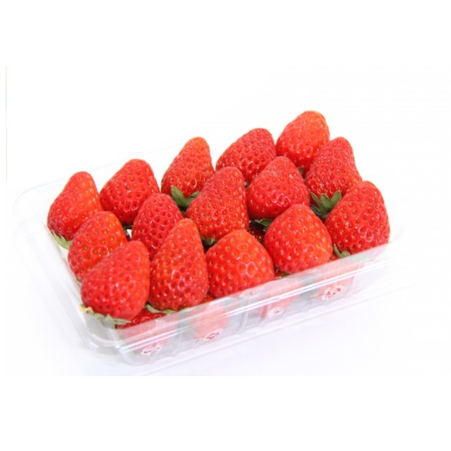 いちご（１パック） 長崎県産他