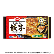 水・油いらずパリッと羽根つきの餃子（１２個入）