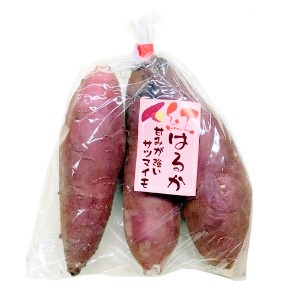 紅はるか（５００ｇ)