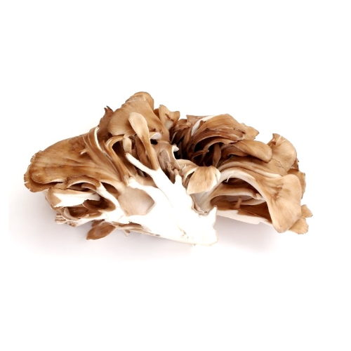 越のまいたけ（１袋） 新潟県産